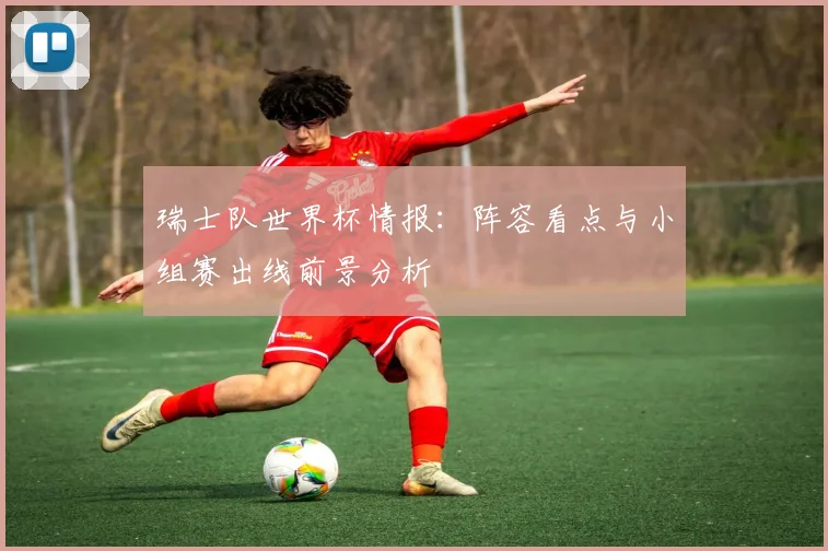 瑞士队世界杯情报：阵容看点与小组赛出线前景分析