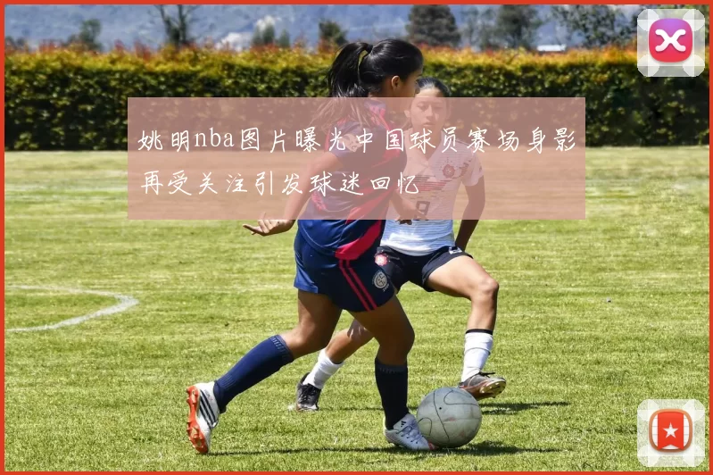 姚明nba图片曝光中国球员赛场身影再受关注引发球迷回忆