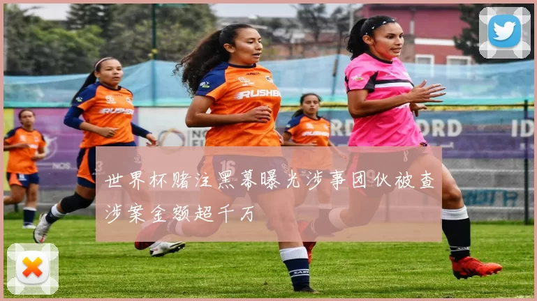 世界杯赌注黑幕曝光涉事团伙被查涉案金额超千万