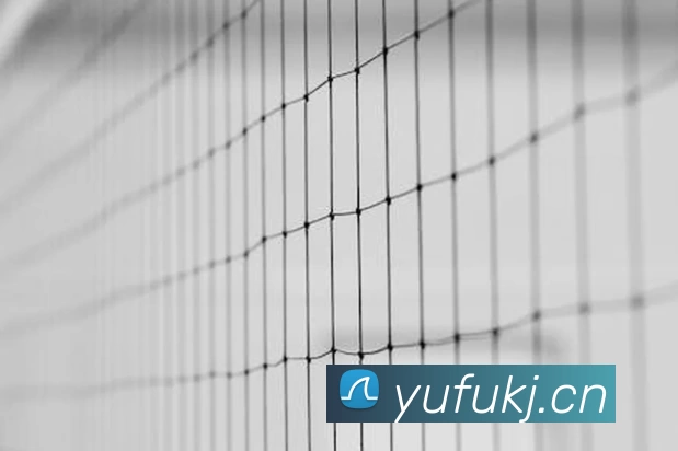 九游(NINE GAME)体育·官方网站 - 中国智慧体育科技领导者平台生态图